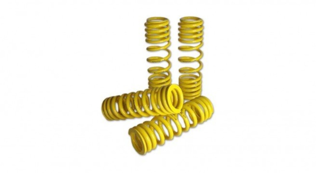 NOVITEC SPORT SPRING SET